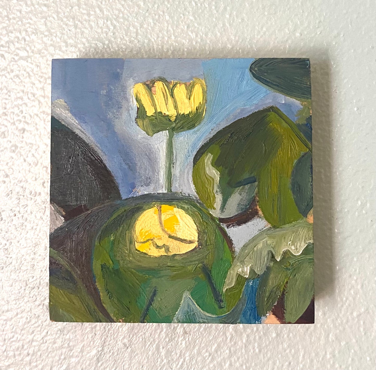 Dragonflies 2