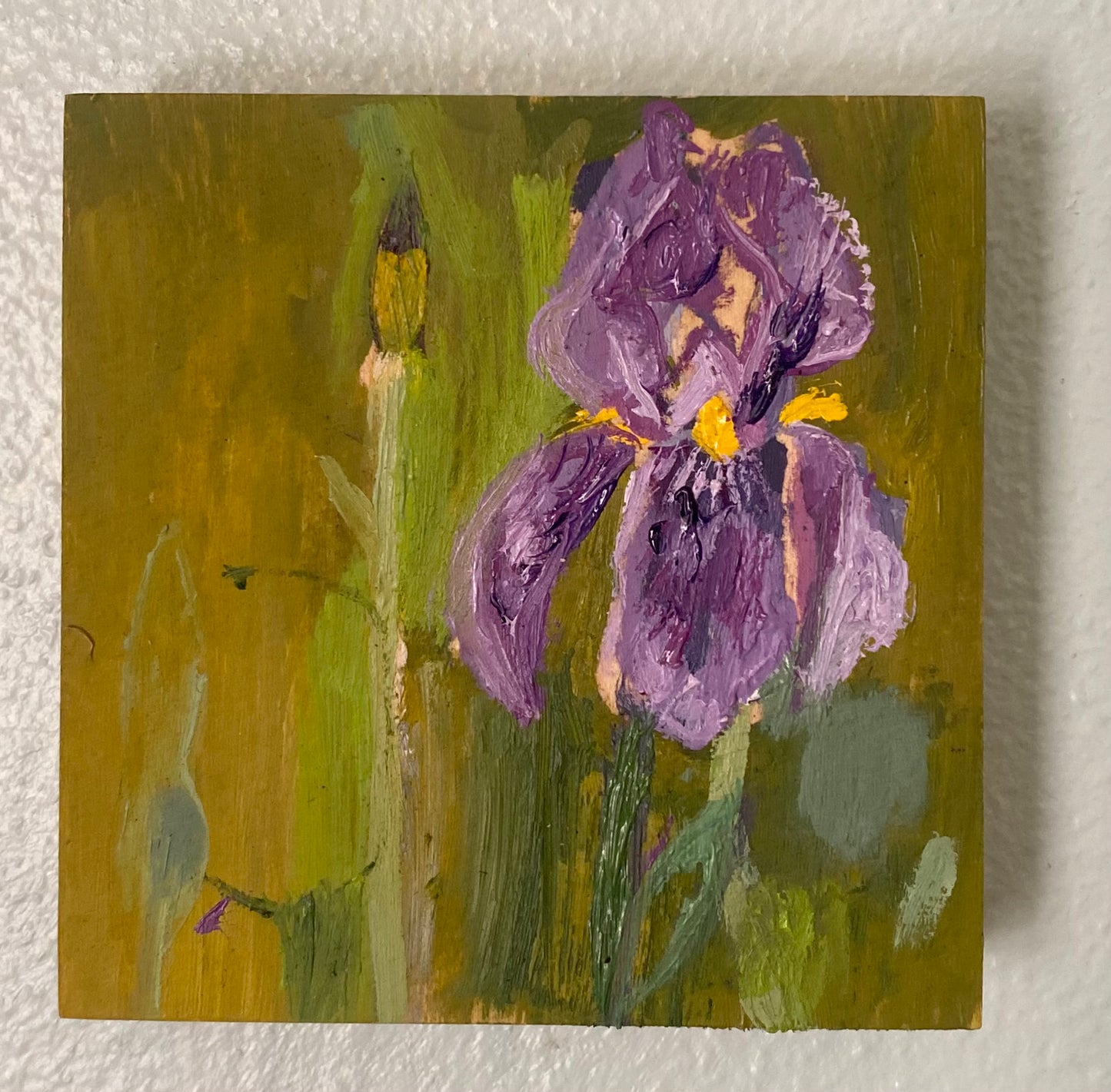 Iris