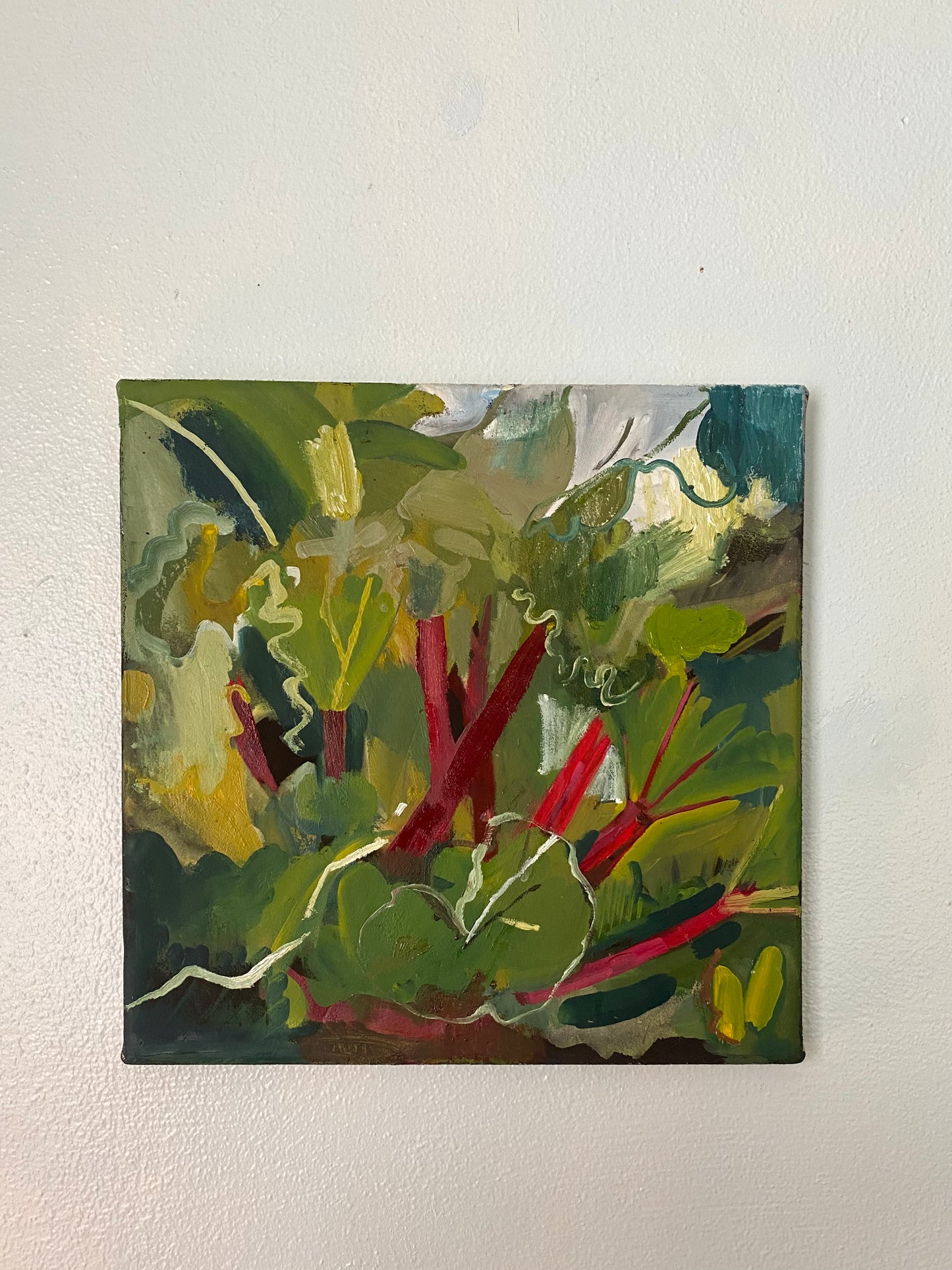 Rhubarb 2