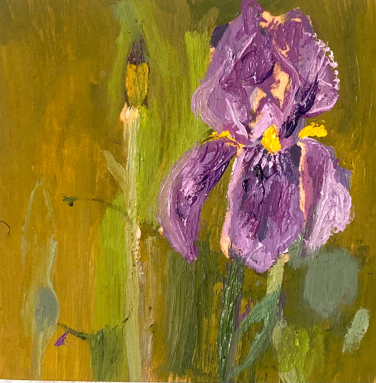 Iris