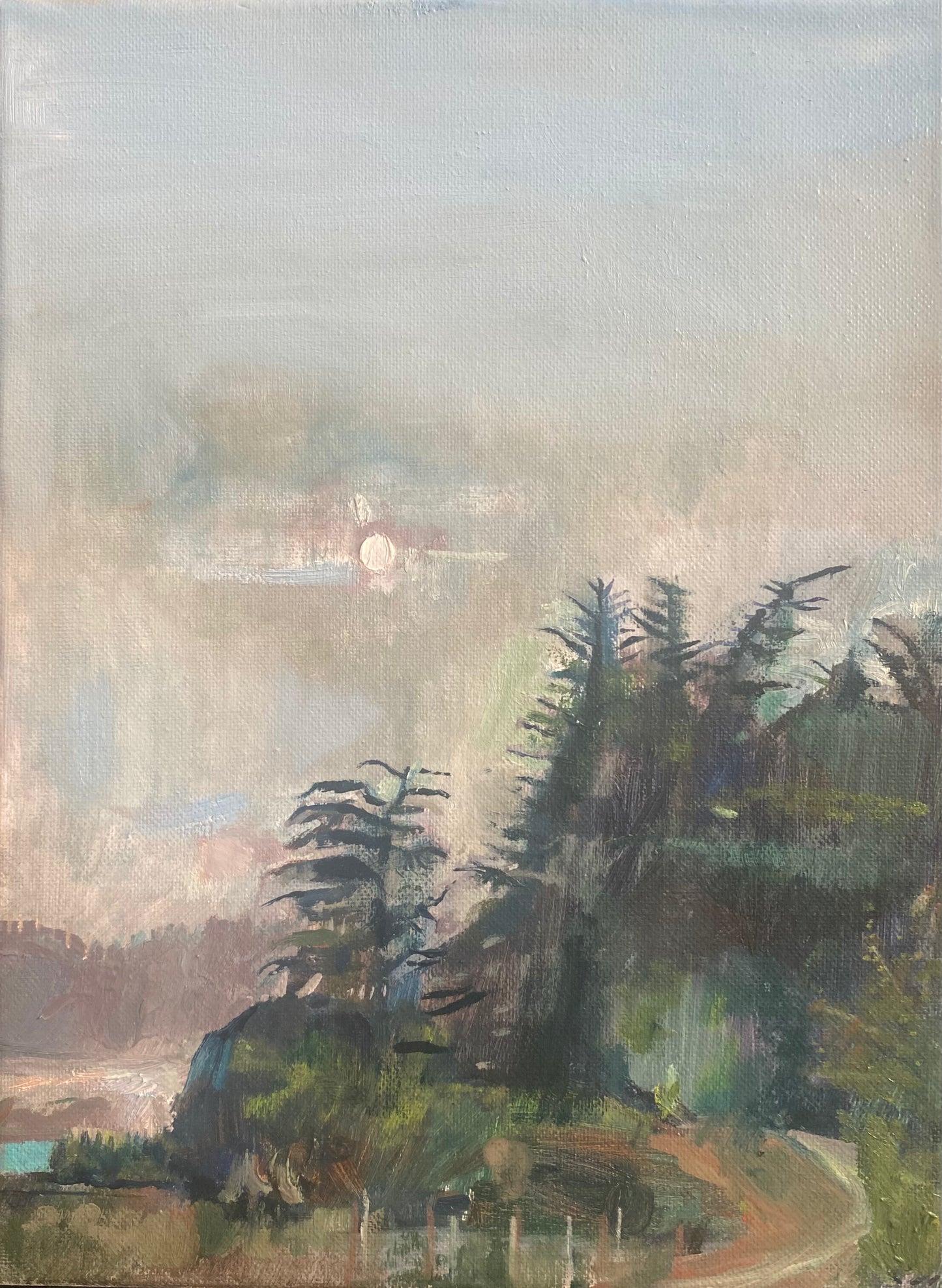 sun looking like the moon